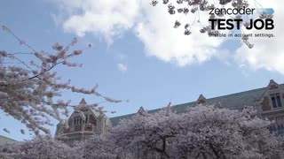 thumbnail-11873_0000