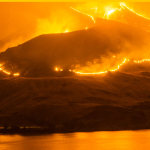Wildfire on hillside