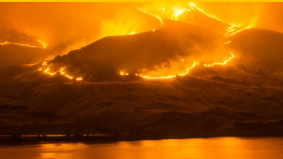 Wildfire on hillside