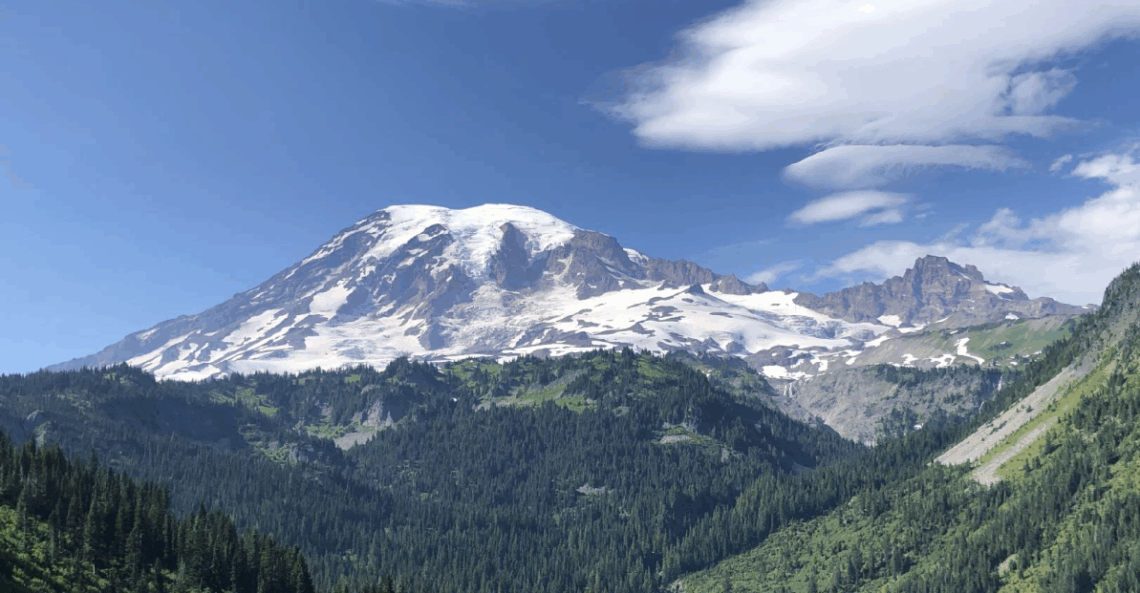 Local Impacts of a Global Crisis How Washington State Nonprofits are