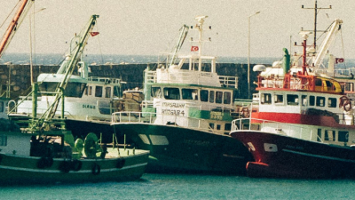Row of Fishing Boats