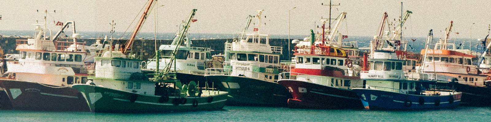 Row of Fishing Boats