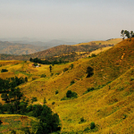 Nigerian farm land