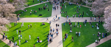 PublicLeadershipDevelopmentPathways_banner An areal photo of UW Seattle's Quad with intersecting pathways crisscrossing the photo between blooming cherry blossom trees